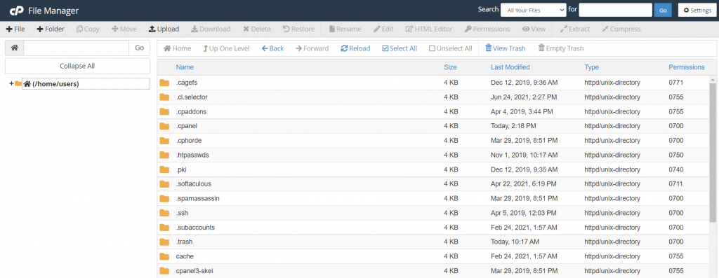 The File Manager on cPanel