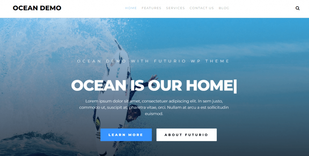 A demo of the Futurio WordPress theme