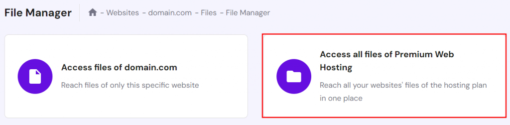 Accessing Hostinger's File Manager in hPanel